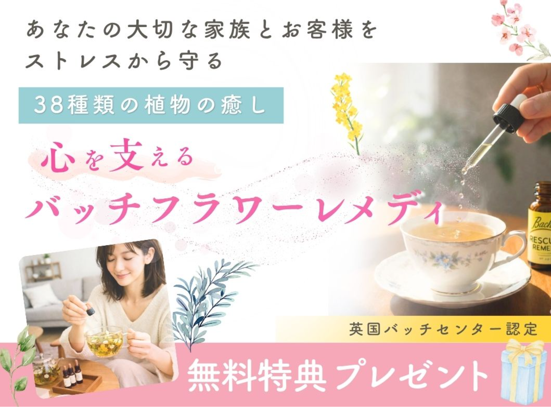 バッチセンター認定コース
