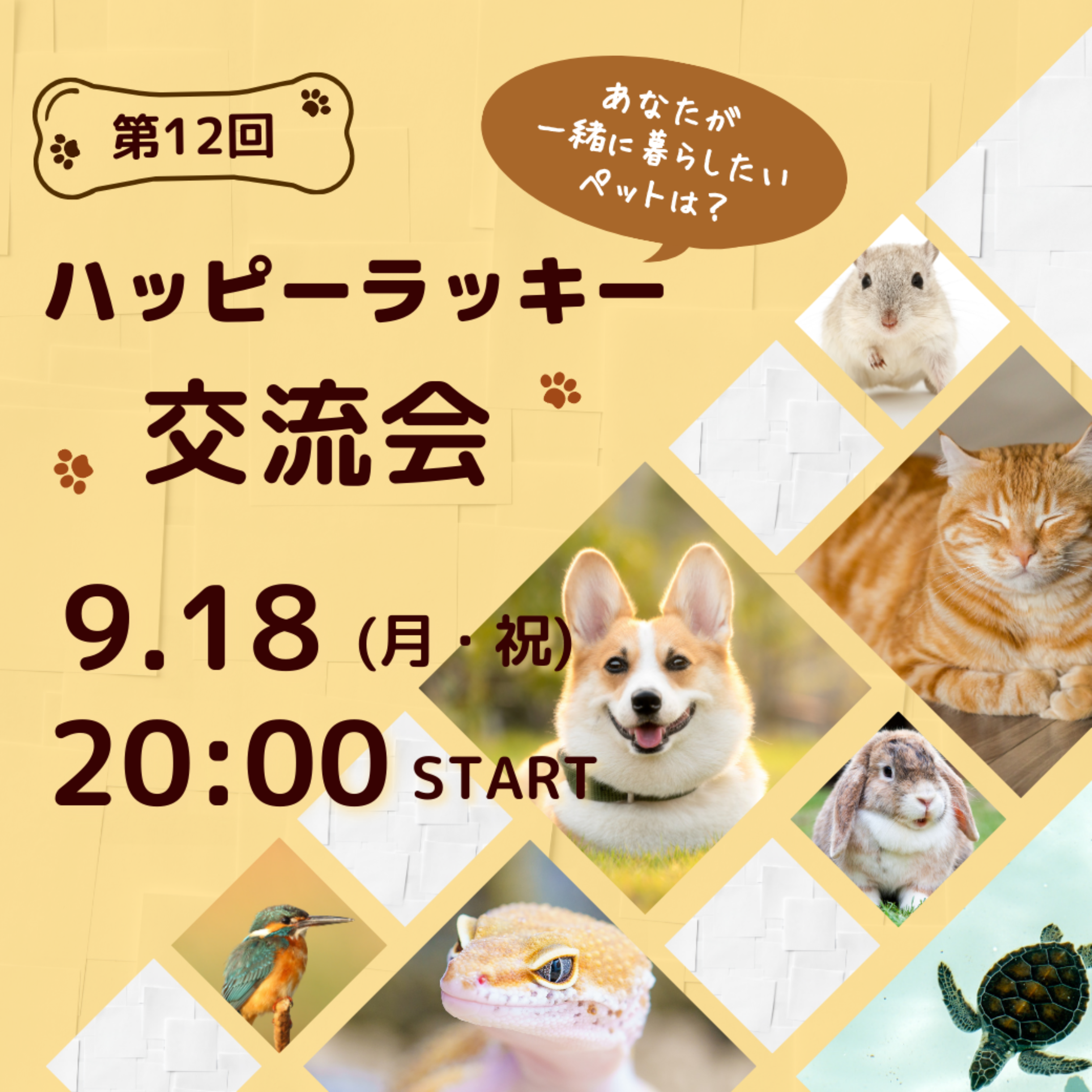 第12回ハッピー☆ラッキー交流会