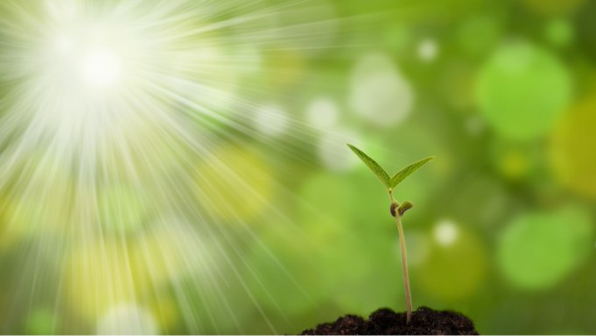 ふくりはコーチング